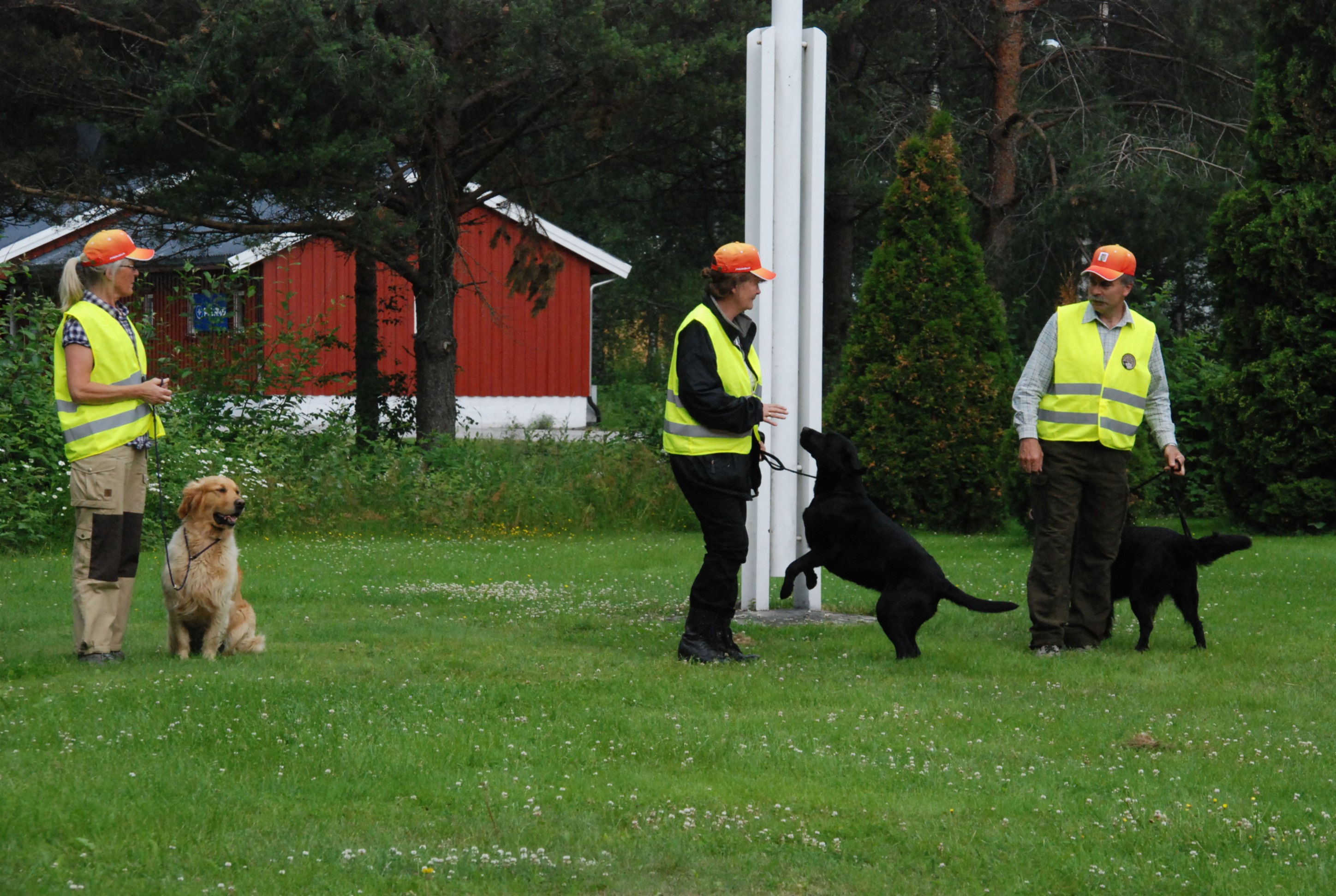 Tronderbataljonen